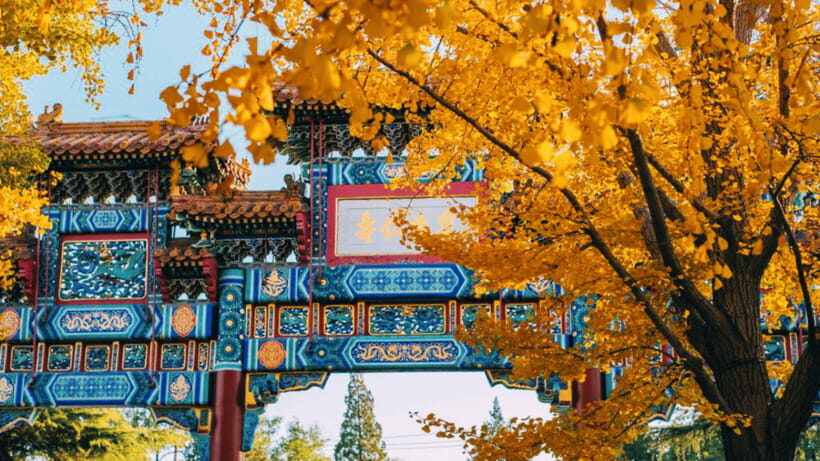 Beijing: Lama Temple (Yonghe Temple) Admission Ticket - Who Should Book This Lama Temple Experience?