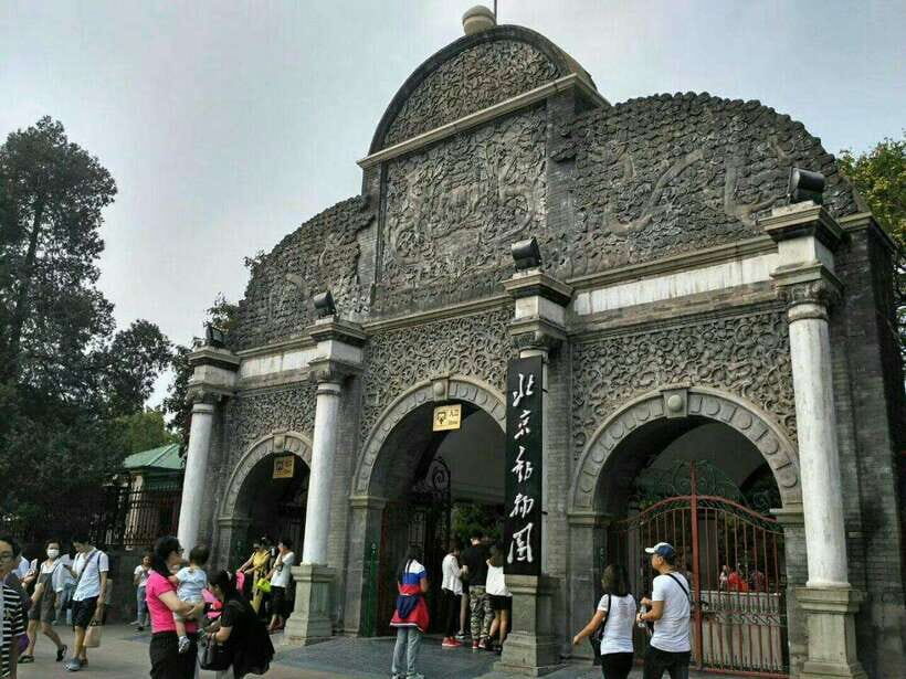 Beijing: The Beijing Zoo Entry Ticket with Pandas - Key Highlights Before You Go
