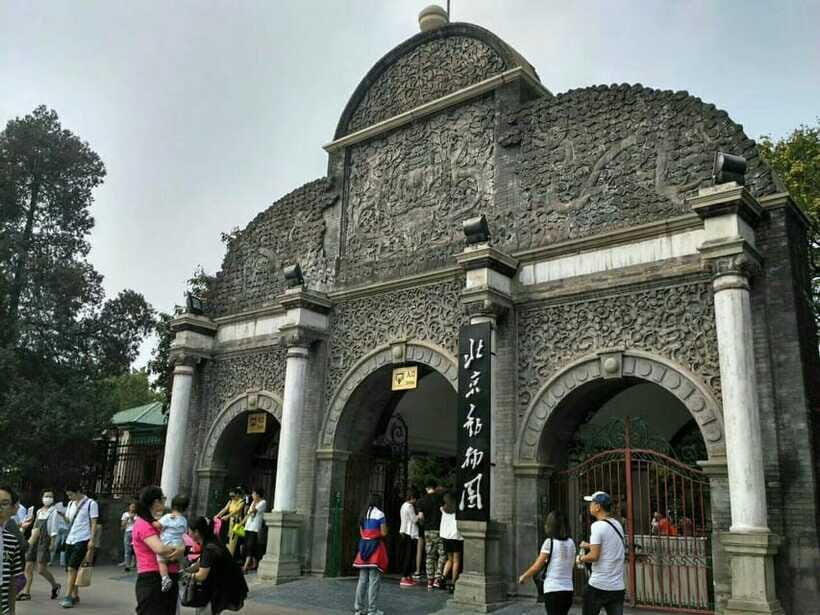 Beijing: The Beijing Zoo Entry Ticket with Pandas - The Panda House in Your 3-Hour Plan