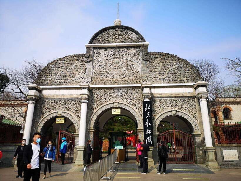 Beijing: The Beijing Zoo Entry Ticket with Pandas - Value for Money: Why Around $6 Can Be a Smart Buy