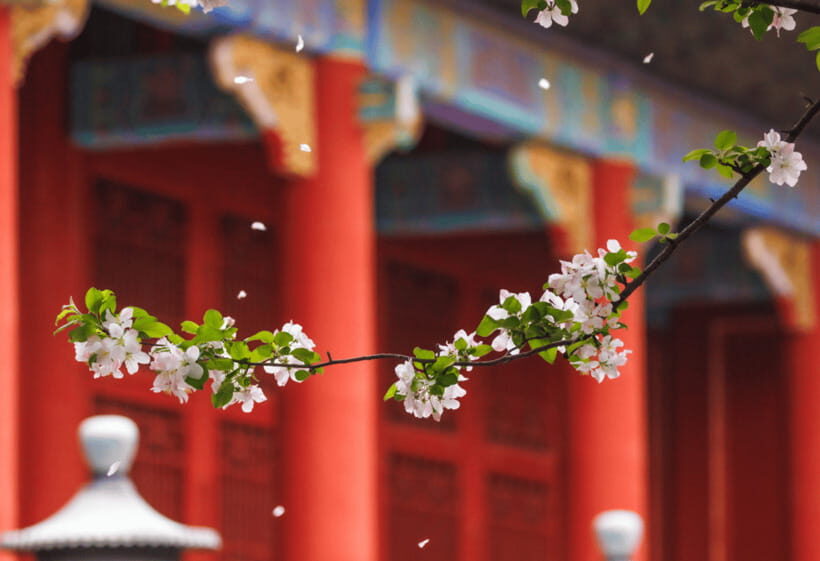 Beijing: Tiananmen Square and Forbidden City Entry Tickets - Mutianyu Great Wall Added to Your Forbidden City Ticket