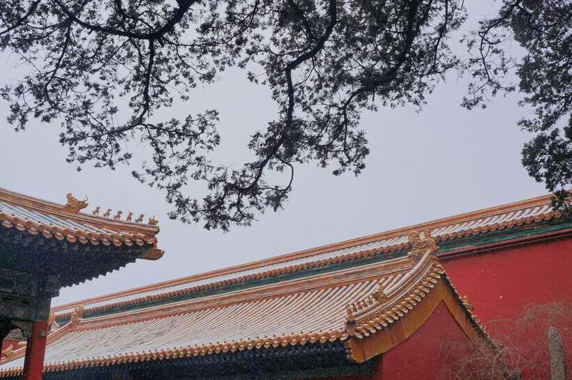 Beijing:Forbidden City & Tian'anmen Square with entry ticket - Practical logistics: passports, security checks, and what to wear