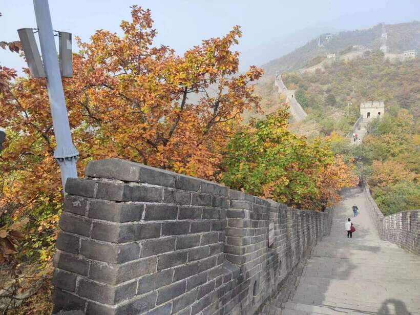 Beijing:Mutianyu Great Wall Private Trip with English Driver - Getting in faster: what the VIP fast pass really buys you