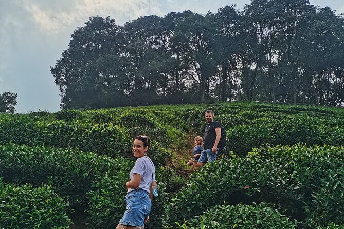 Best of Hangzhou: A Comprehensive Tour of the City's Top Sights - Longjing tea fields: Dragon Well tasting, tea-farmer lunch, and silk time