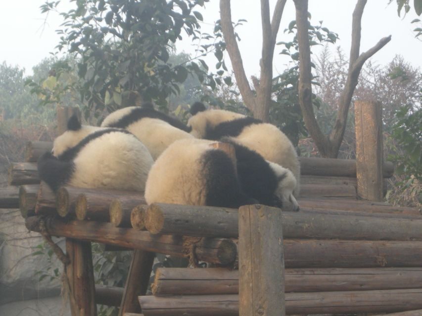 Chengdu: Giant Panda Breeding Research Base Ticket - Getting there: hotels, metro, and airport drop-offs
