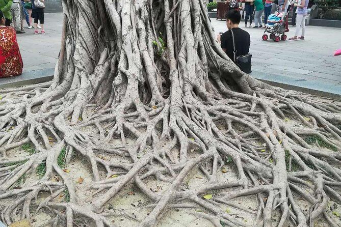 Customised Private Guangzhou City Tour with Flexible Itinerary - Lychee Bay and Xiguan Old Houses: wooden sliding doors and Qilou