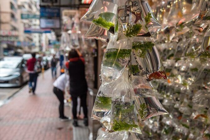 Dark Side of Hong Kong - Kowloon Caged Homes Walking Tour - Guides make the difference: what the best ones do well