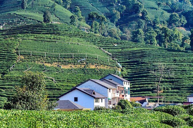 Flexible Hangzhou Private Tour from Shanghai by Bullet Train - West Lake (Xi Hu): the walk, the boat, and where your time really goes