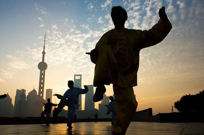 Full-Day Private Guided Tour of Shanghai - Getting Around: Metro vs Private Car in an 8-Hour Window