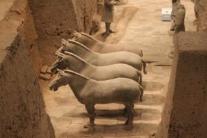Half-Day Mini Group Xian Tour to Terracotta Warriors Museum - Price and value: is $49.56 a fair deal?