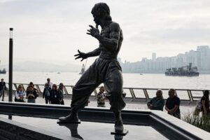 Half-Day Private Custom Tour of Hong Kong - Sheung Wan street life: dried seafood, Cat Street, and old-town temple stops