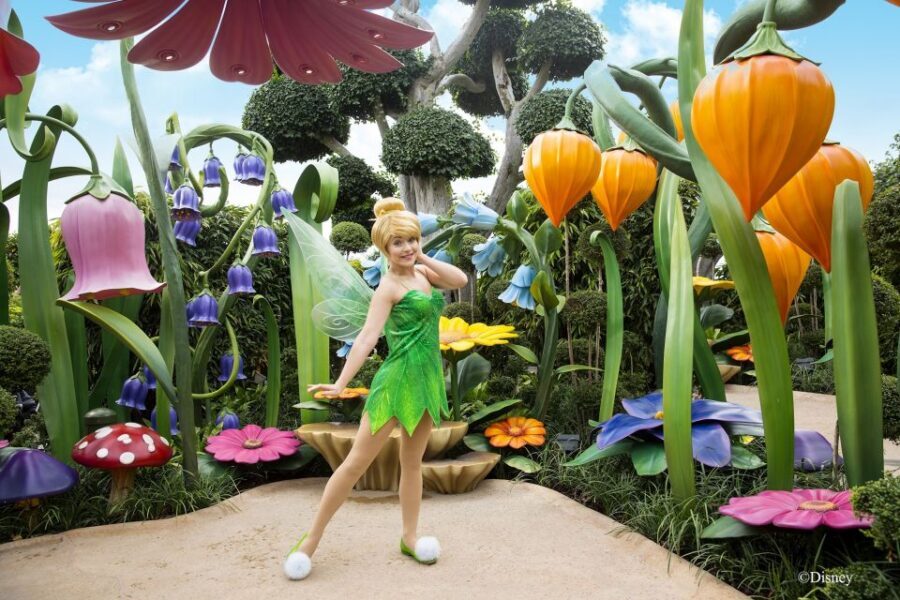 Hong Kong Disneyland Park Tickets - Queues and crowd control: how to work with the reality