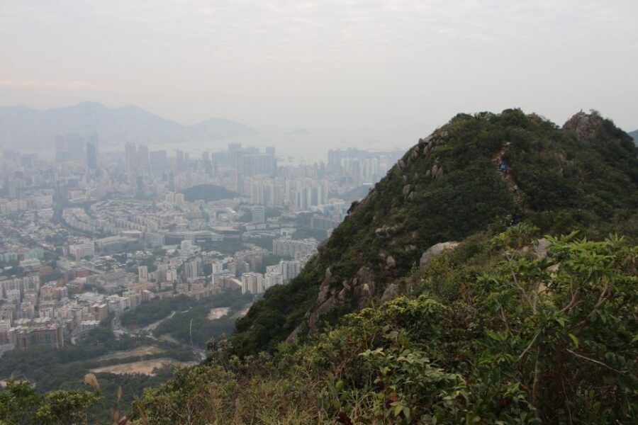 Hong Kong: Private Tour with a Local Guide - Where the tour really shines: pacing, personalization, and smart transitions
