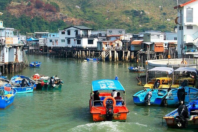 Lantau Island Day Trip - Big Buddha & Tai O - Dolphin cruise and cable car options: the inclusion check that saves your day