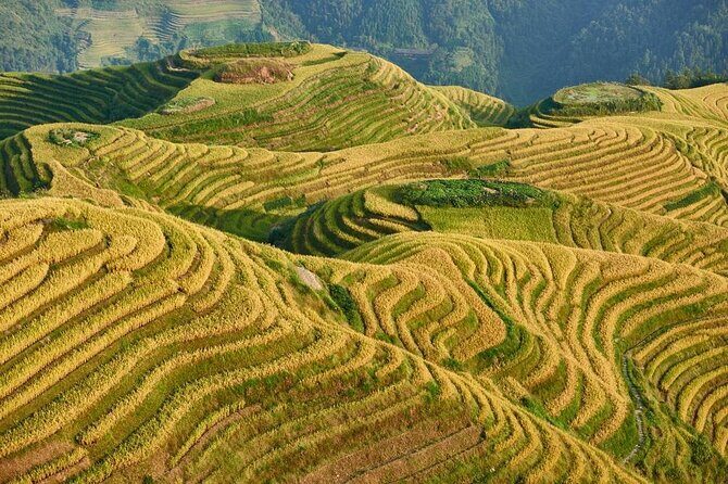 Longji Rice Terraces with Minority Village Private Day Tour - Key things I’d zero in on