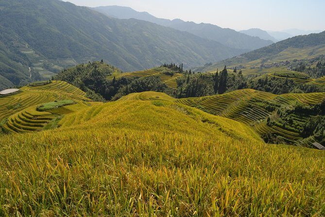 Longji Rice Terraces with Minority Village Private Day Tour - Pickup in Guilin: set your start time and avoid the scramble