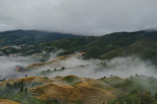 Longji Rice Terraces with Minority Village Private Day Tour - Longji arrival and the on-site ticket reality