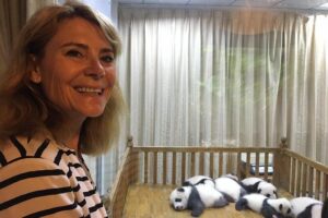 Private Half-Day Chengdu Panda Breeding Center Tour with Optional Volunteer - The Baby Garden and the Life Stages Story You’ll Actually Follow