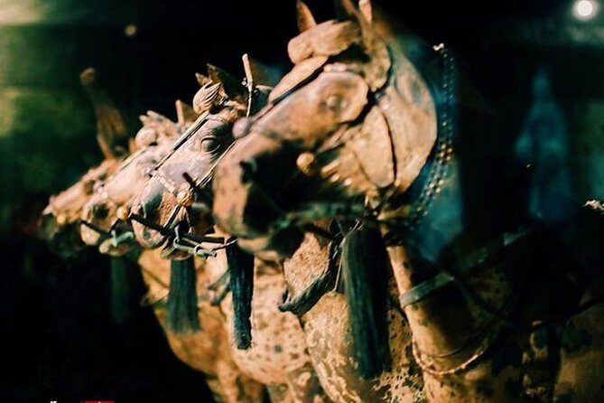 Private Half-Day Tour of Xi'an Terracotta Warriors - The private guide effect: clearer stories and easier crowds