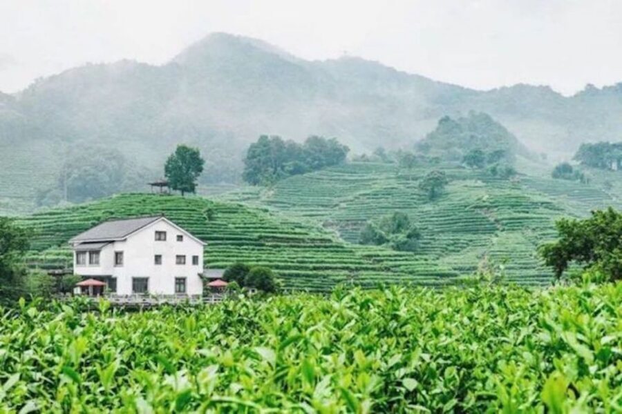 Shanghai: Private Guided Tour to Hangzhou by Bullet Train - Who This Tour Suits Best (and Who Might Skip It)
