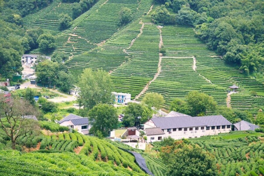 Shanghai: Private Guided Tour to Hangzhou by Bullet Train - The 45-Minute Boat Ride That Changes the Whole Mood