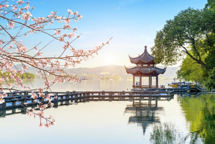 Shanghai: Private Guided Tour to Hangzhou by Bullet Train - Longjing Tea Plantation: Tea Tasting Plus a Taste of Hangzhou Life