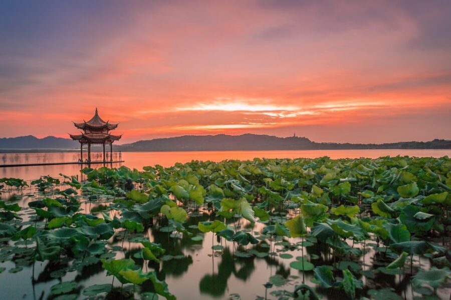 Shanghai: Private Guided Tour to Hangzhou by Bullet Train - Entering West Lake: A UNESCO Walk With Real Time to Take In
