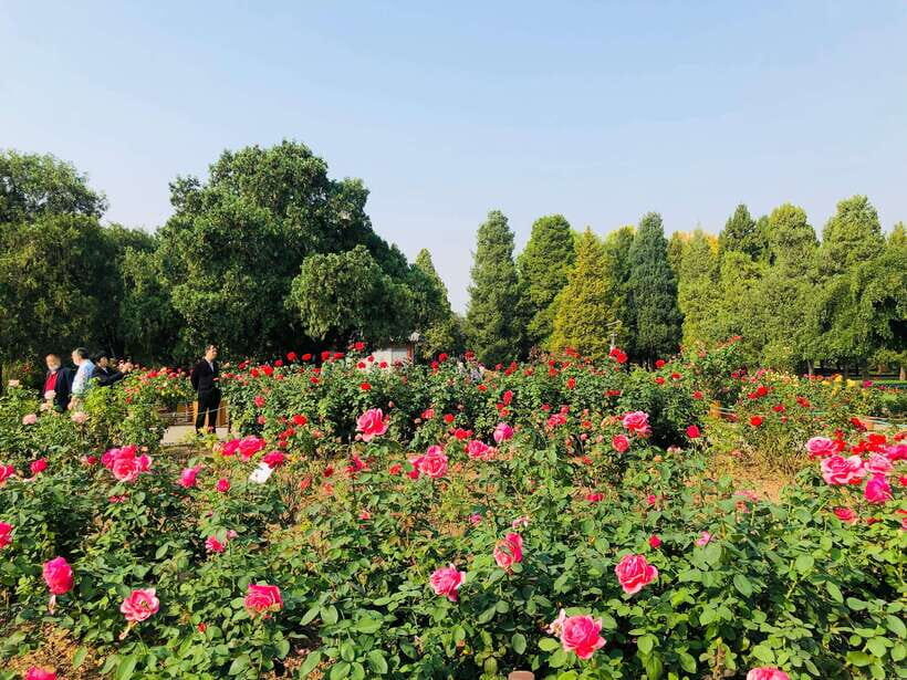 Temple of Heaven Ticket - What to bring: simple items that save your day