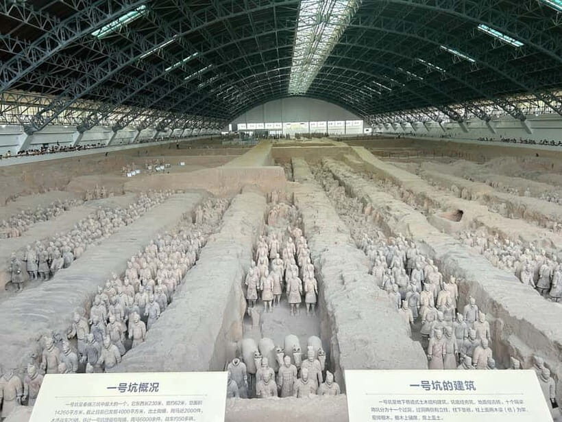 Xi'an: Exclusive Terracotta Army Tour & Local Family Lunch - Pit 1: Over 6,000 Warriors and What to Notice