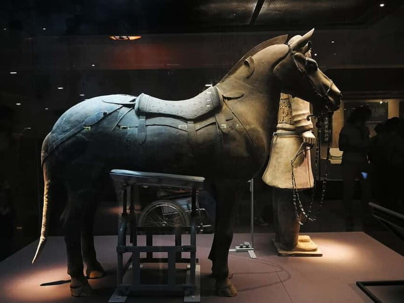 Xi'an: Terracotta Army Mini Group or Private Tour - Should you book this Terracotta Army mini-group or private tour?